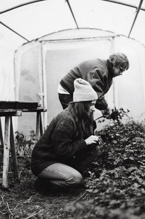 Une semencière artisanale - La Ferme Sans Nom