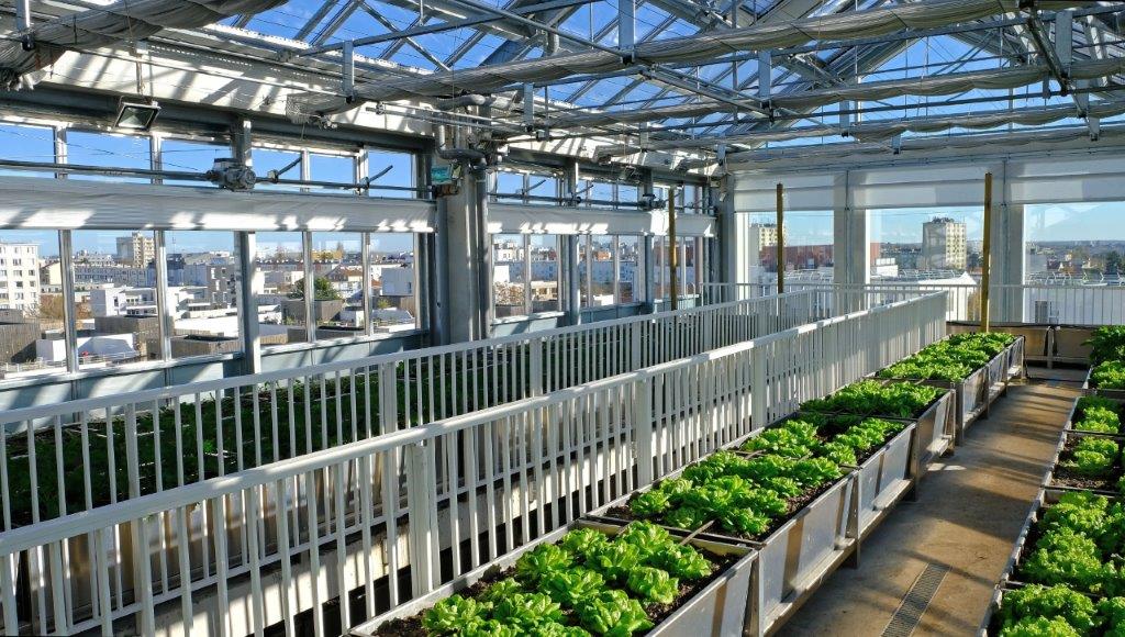 La cité maraichère de Romainville, un projet Futur(e)s Food