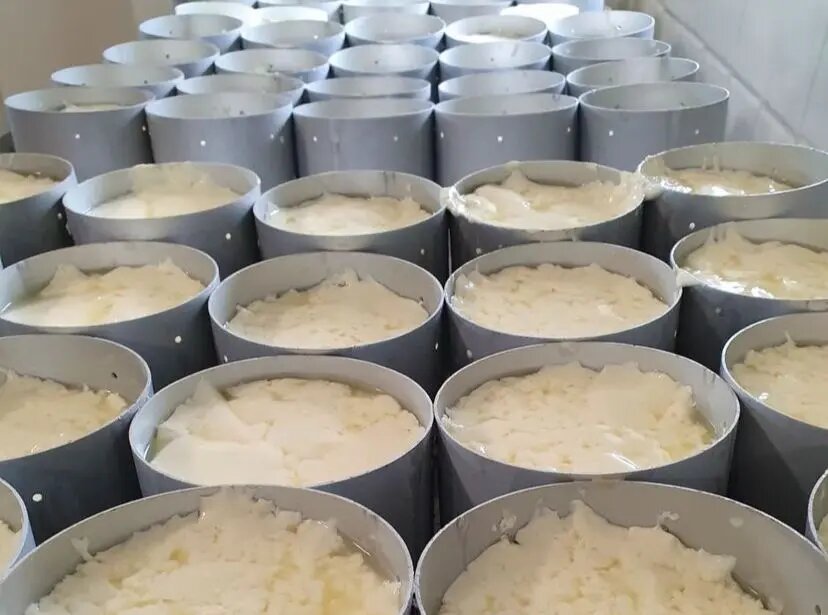 Le camembert de la laiterie de Paris, un projet Futur(e)s Food