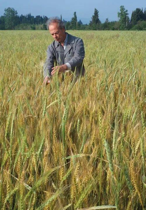 Terre et blé, un projet Futur(e)s Food