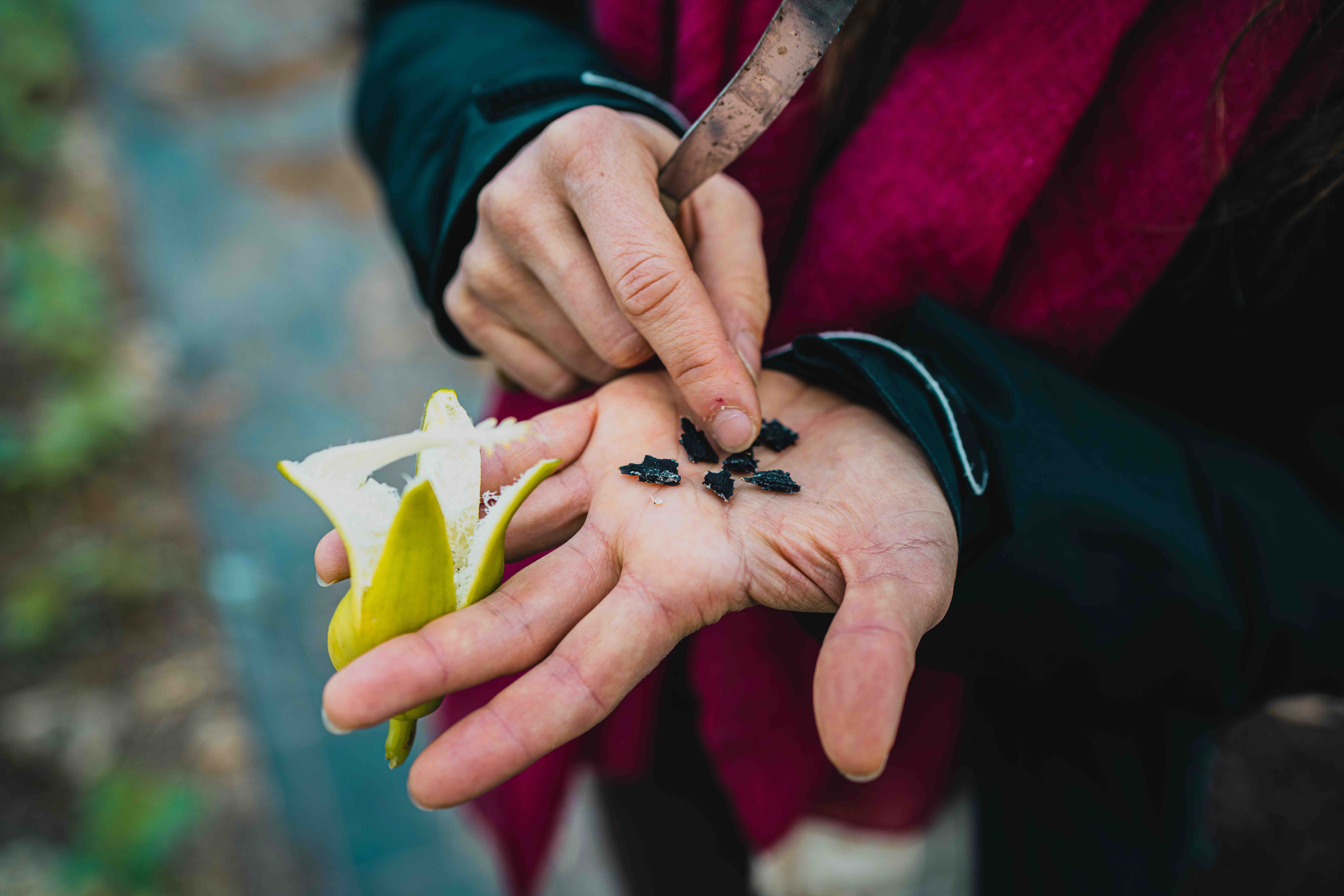 Conservatoire du Gout 2024