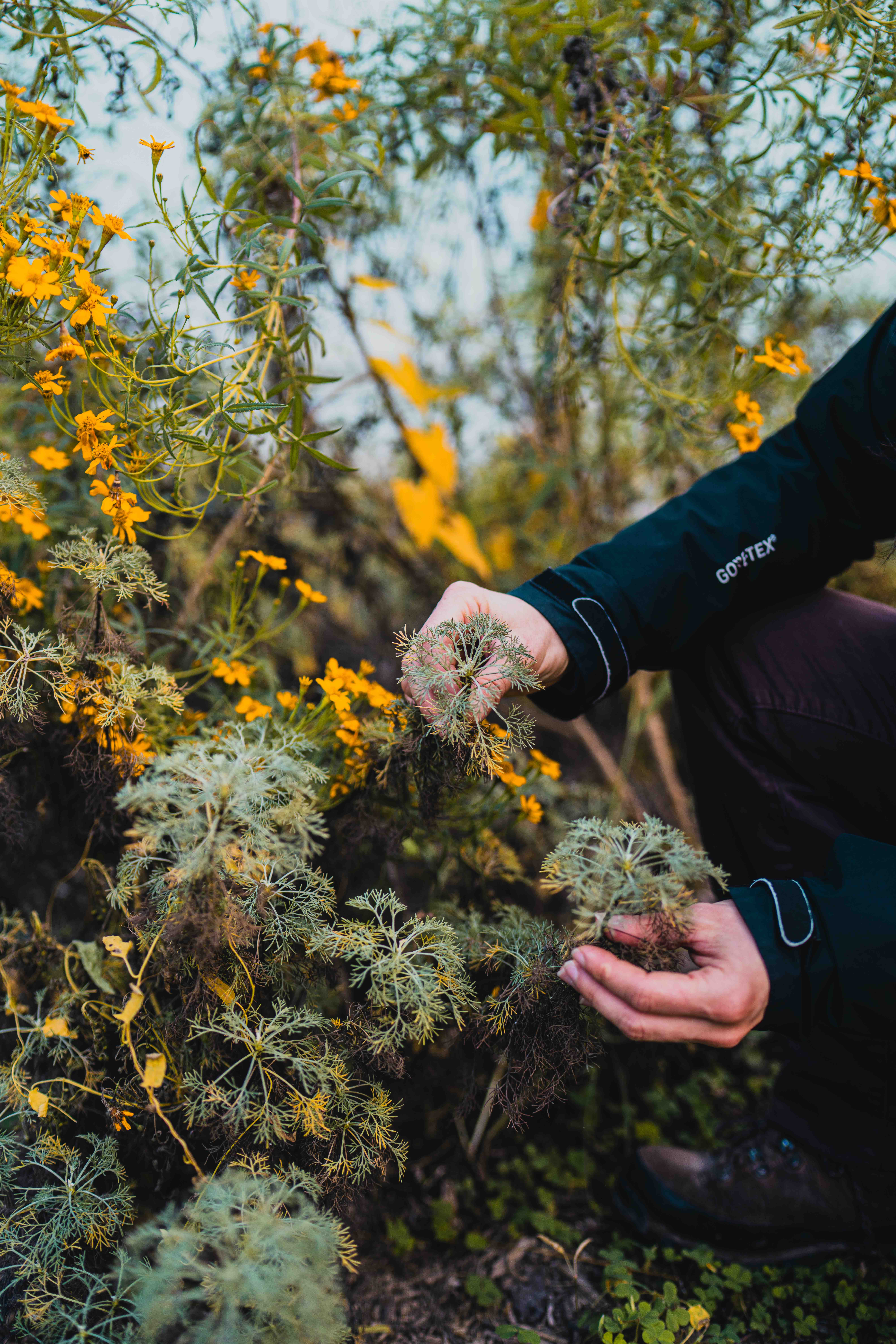 Conservatoire du Gout 2024