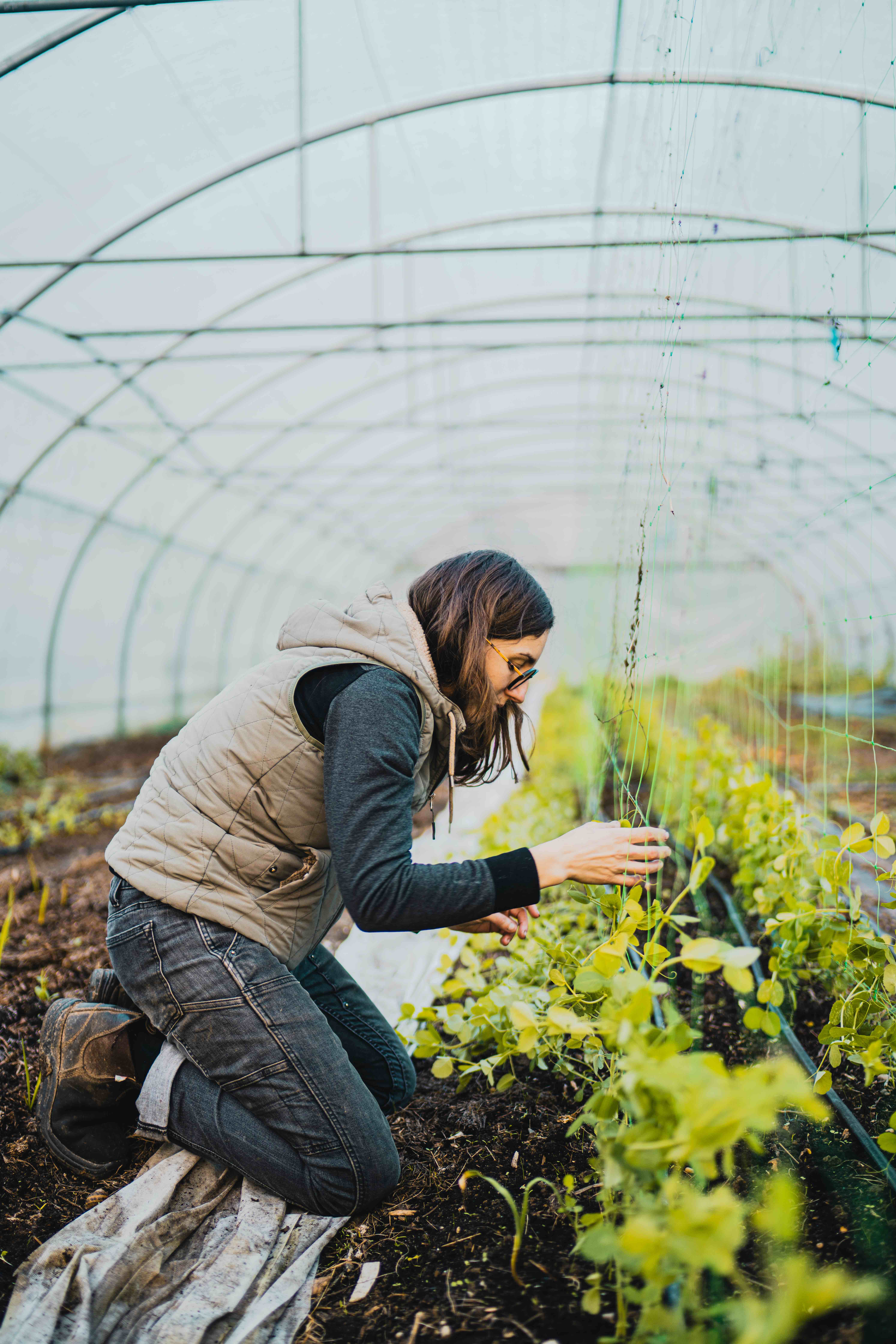 Conservatoire du Gout 2024