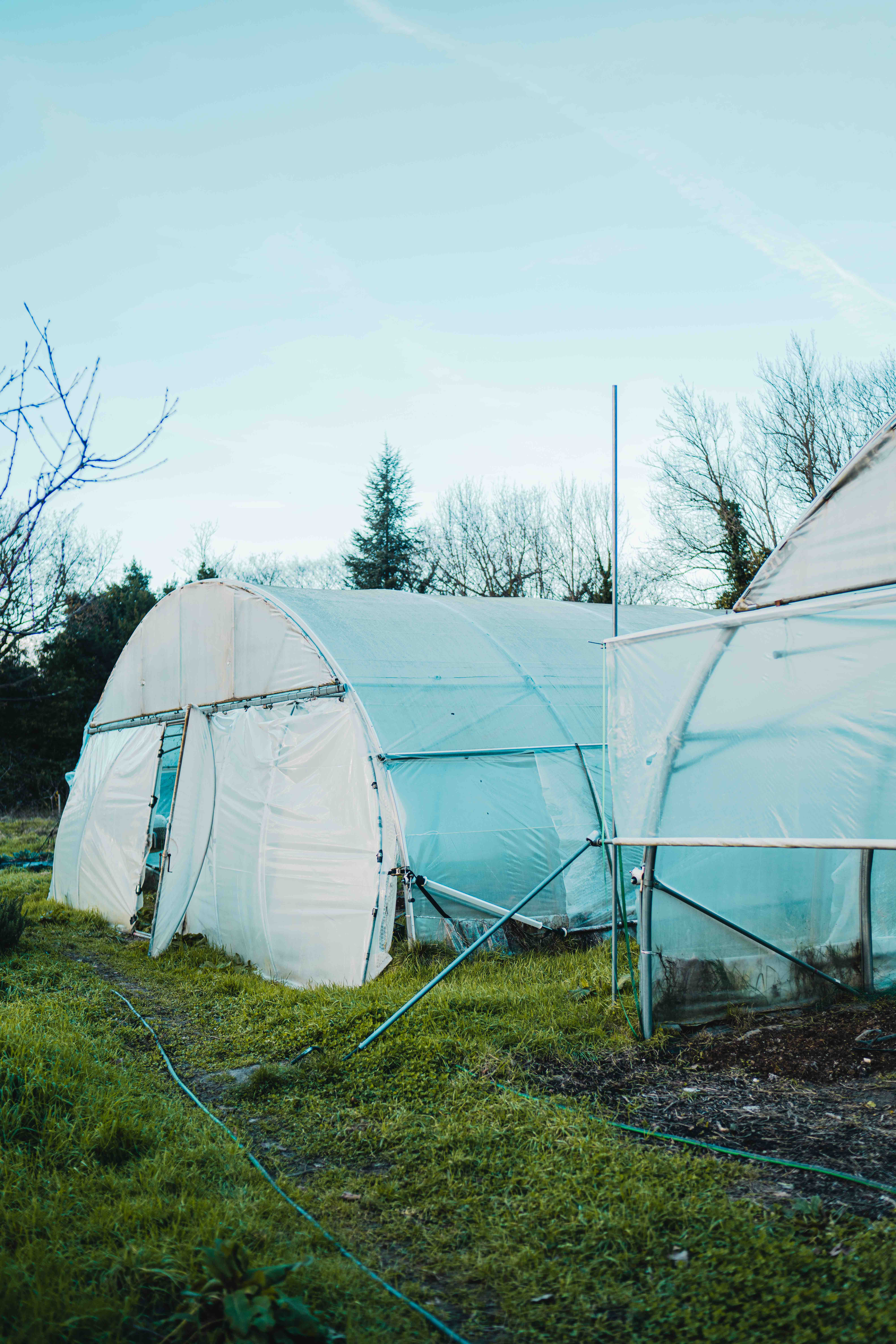 Conservatoire du Gout 2024