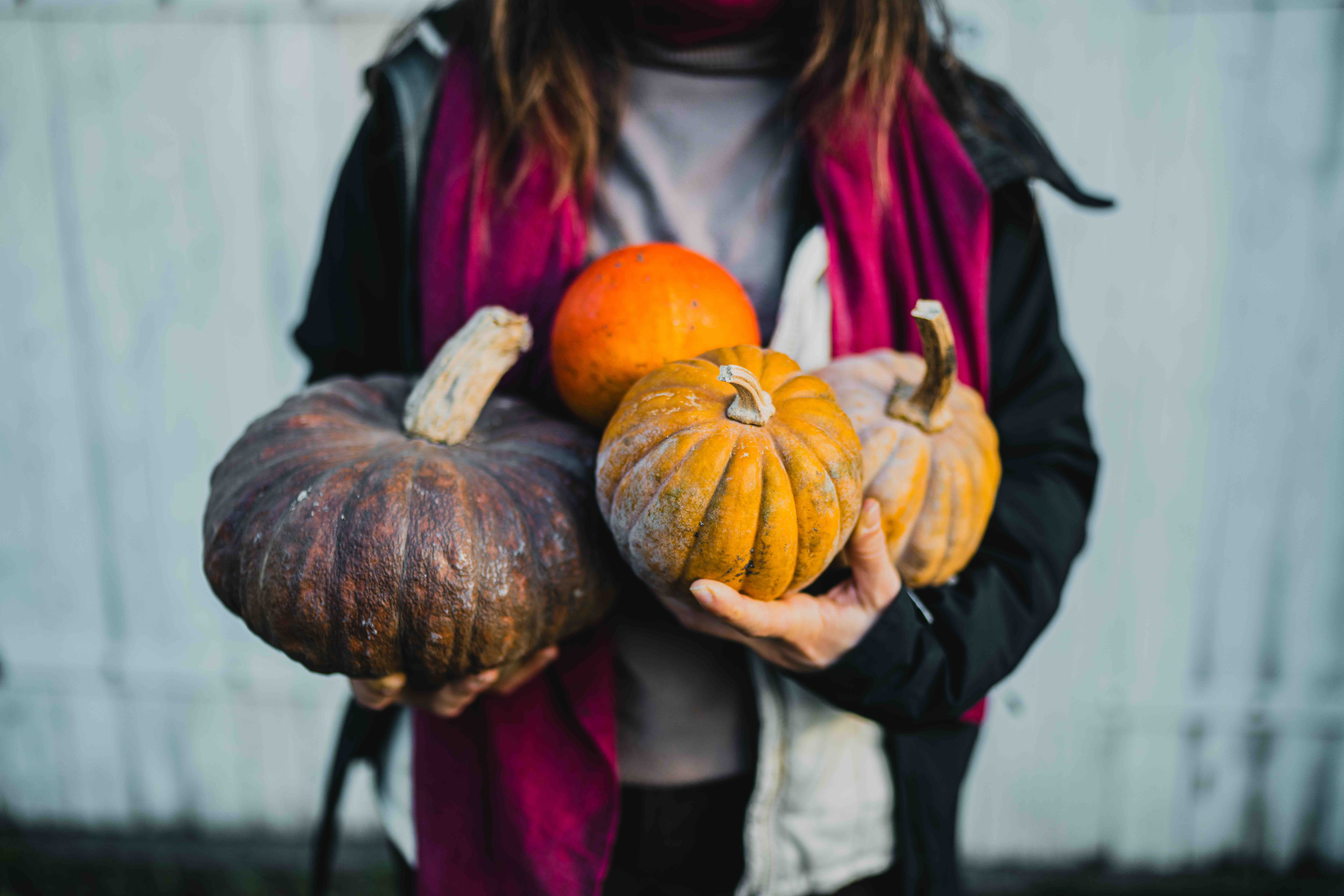 Conservatoire du Gout 2024